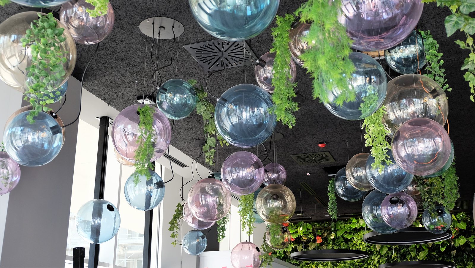 The cluster of coloured and mirrored glass spheres seen from below, with plants trailing between them