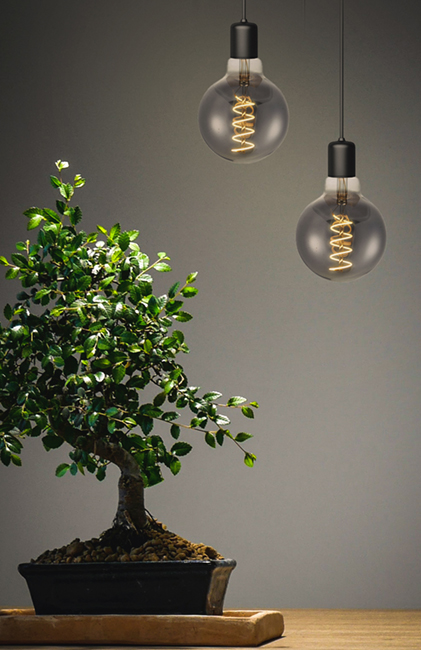 LED E27 Filament FleX AX Globe, LF023980303