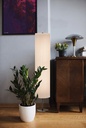 E7-BA-BA-041 ambiente