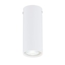 Tecno 1S White ceiling lamp