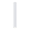 Tecno 1L White ceiling lamp