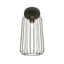 Barn 1 Bl. Ceiling Lamp
