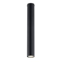 Tecno 1L Black ceiling lamp