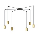 Traker 6 Bl/Gold Pendelleuchte