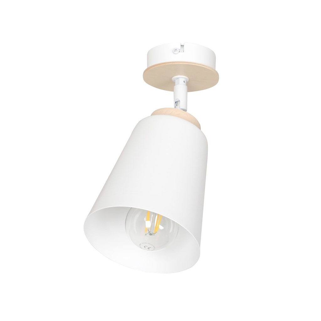 [724/1] Atlas 1 White ceiling lamp