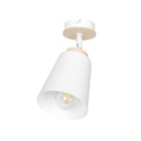 Atlas 1 White ceiling lamp