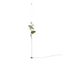 Almond II Pendelleuchte