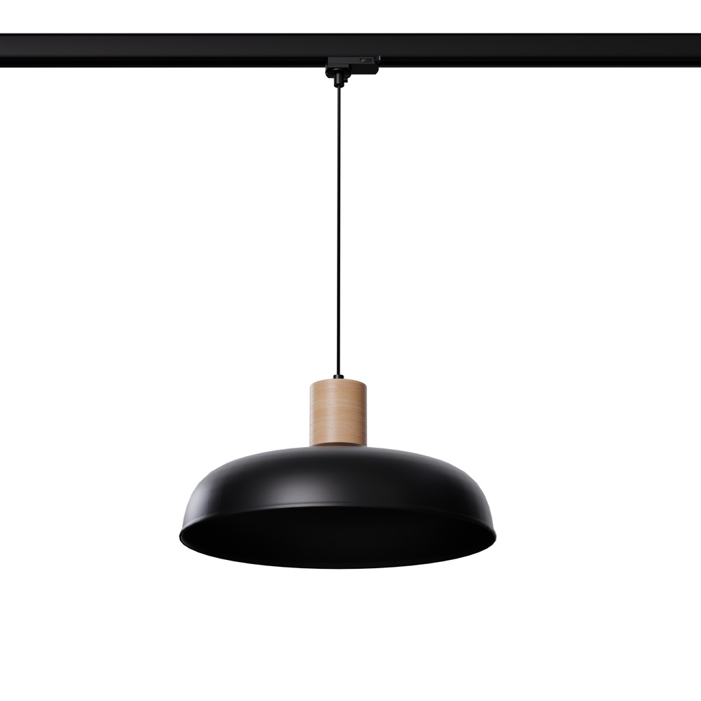 INDY pendant lamp black E27