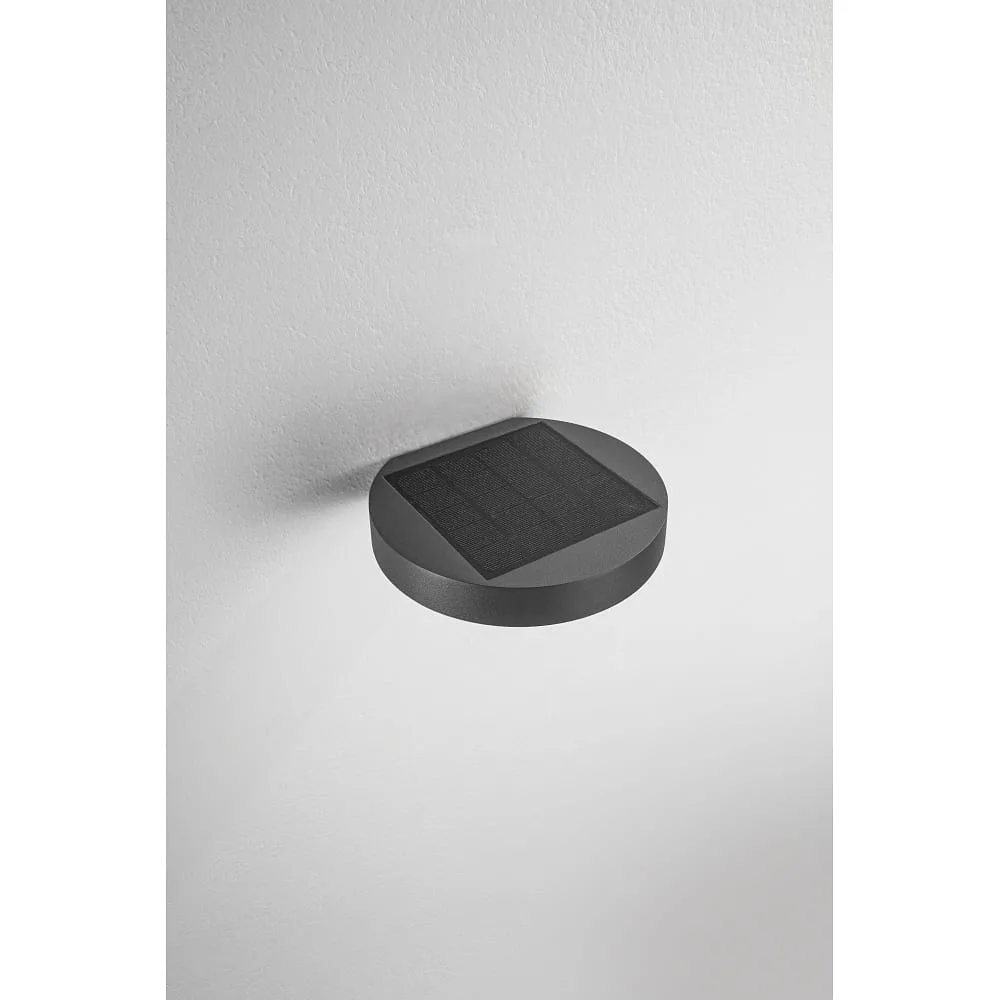 Fabas Luce Applique d'extérieur solaire PALMER avec capteur IP54, gris foncé
