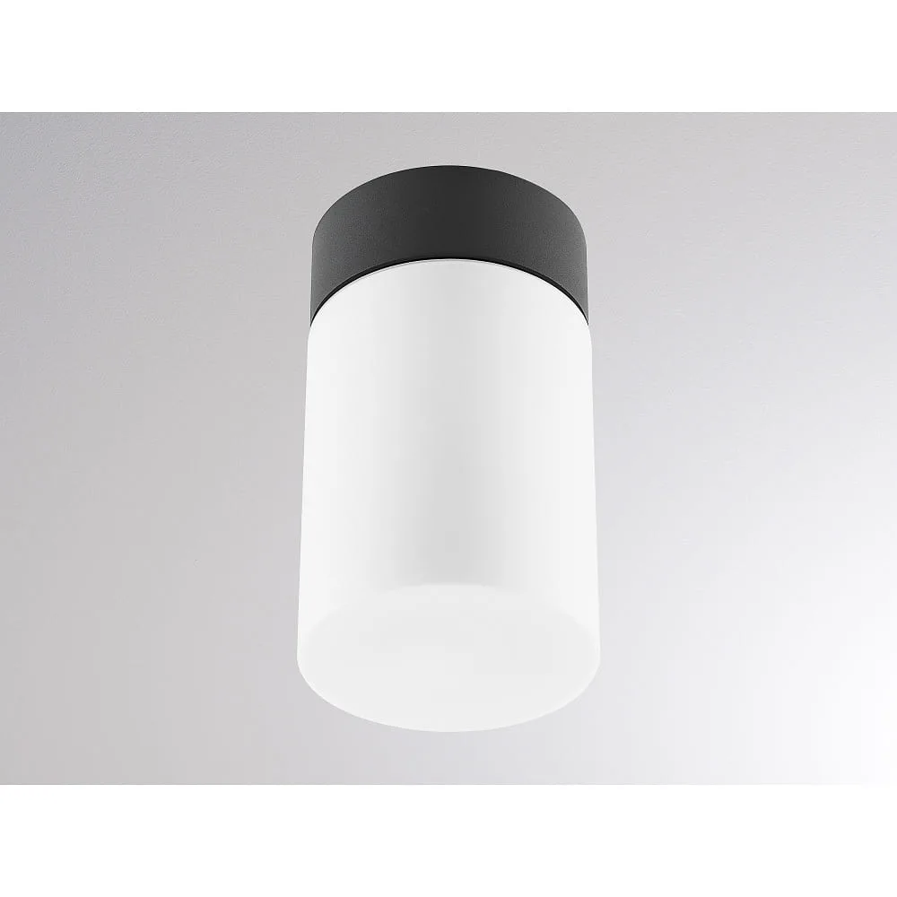Molto Luce Außendeckenleuchte WILLIAM SD E27 IP65, Anthrazit dimmbar (MOL-333-00022)