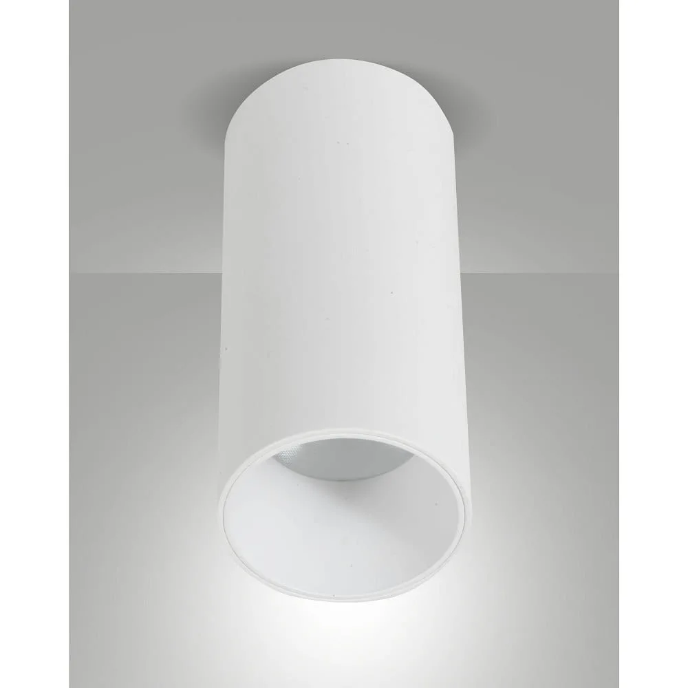 LaMiaLuce Downlight RAY cylindrique, rigide, version en saillie IP44, blanc, dimmable