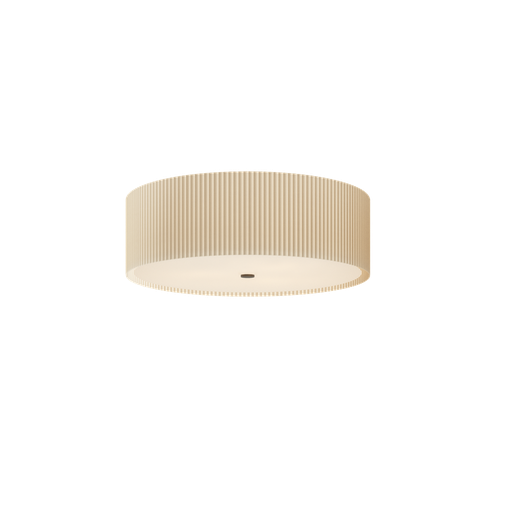 Ceiling Lamps