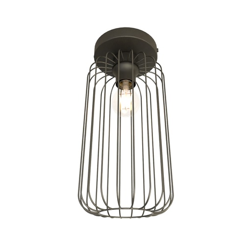 Barn 1 Bl. Ceiling Lamp