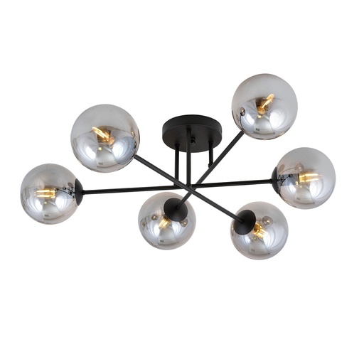 [1245/6] Roma 6 Bl Grafit ceiling lamp